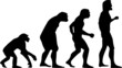 human evolution