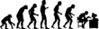 human evolution