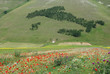 Italia a Castelluccio