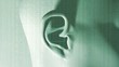 digi ear boucle
