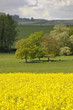 Paysage agricole diversifié