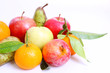 obst,früchte