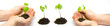 Man holding a new maple tree - set Man holding a new maple tree - set
