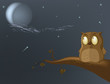 owl the moon a tree night