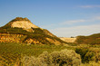 paisaje andaluz
