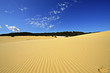 Fraser Island Dunes