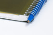 Diary and pen