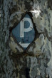 parking  avalé