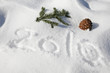 Annee 2010 Neige