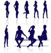 Vector silhouettes of sexy female posing with reflections.