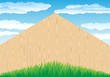 fence_and_grass