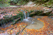 Salto de agua en la selva de Irati