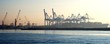 Cranes in Naples harbor panorama
