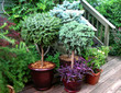 pot garden pot garden