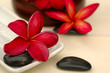 Spa and wellness Spa and wellness