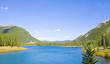 Forget me not Pond Forget me not Pond
