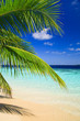 Tropical Paradise at Maldives