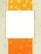 Orange border