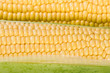 yellow corns background