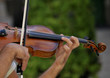 Violinist