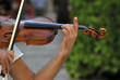 Violinist 2