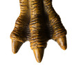 Monster foot
