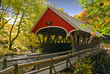 Flume covered bridge