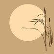 reed on background sun