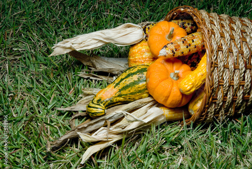 Photo: Cornucopia Cornucopia