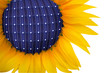 girasole solare