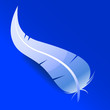 Vector feather