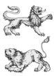 Lions vector