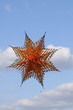 Foto: Drachen Drachen