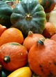 Fall vegetables