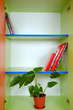 bookcase with books and a plant
