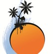 palm, sun and camel