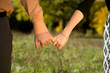 Hands in a meadow close-up
