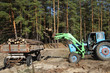 Loading logs of trees in the forest Loading logs of trees in the forest