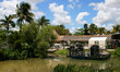 Photo: Everglades - Miami Everglades - Miami