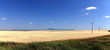 Weizenfeld im Sommer Weizenfeld im Sommer