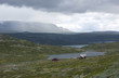 Foto: Norwegen Norwegen