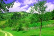 campagne roumaine