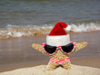 Seashore Santa