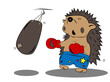 hedgehog boxer hedgehog boxer