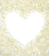 Photo: heart shape heart shape