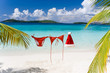 Photo en ligne au meilleur prix tropical christmas