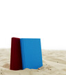 Books in sand