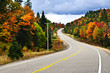 Fall highway
