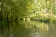 La Venise Verte