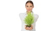 Beautiful young businesswoman is holding tree seedling